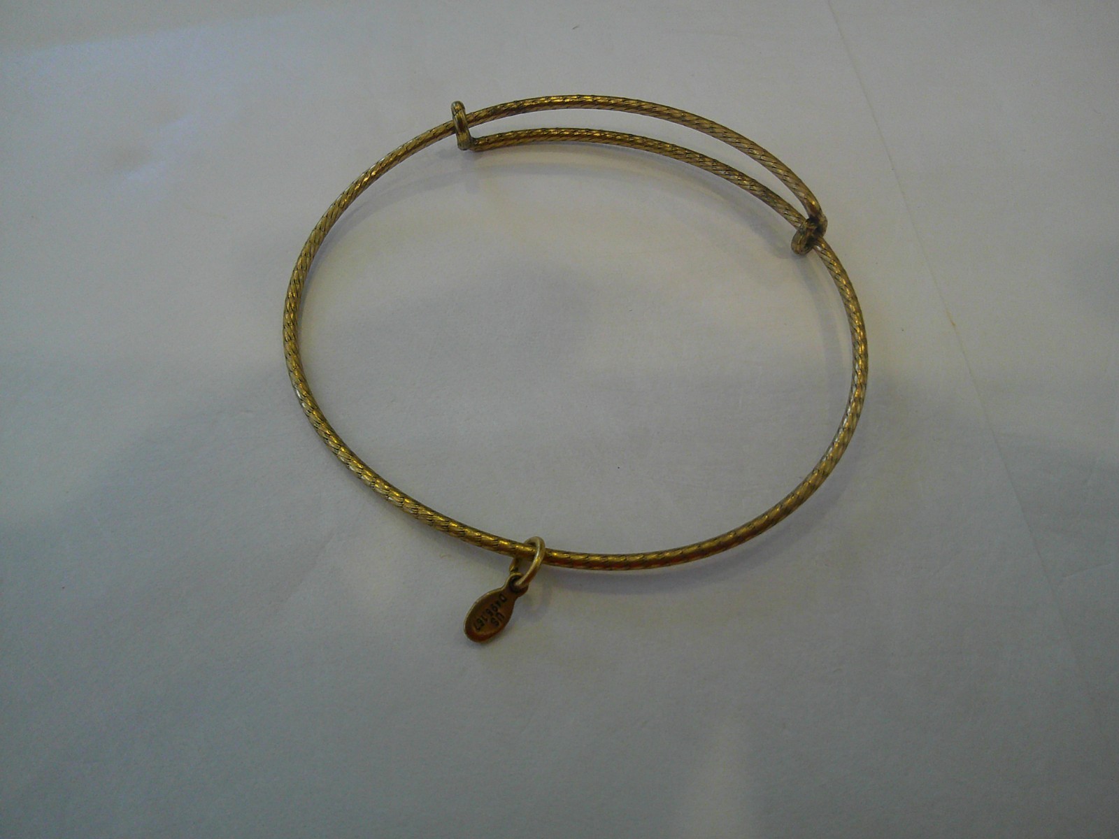 Alex And Ani Bracelet ONLY