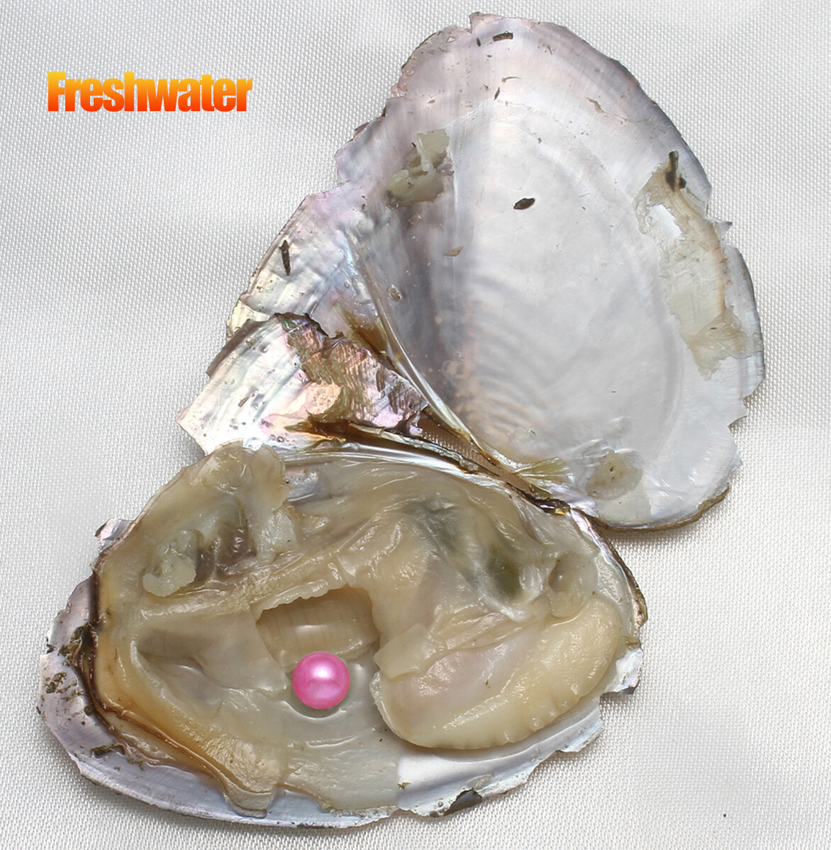 Freshwater/ Akoyas Oyster Natural Pearl Bulk Cultured Round/ Oval 10-50pcs 7-8mm