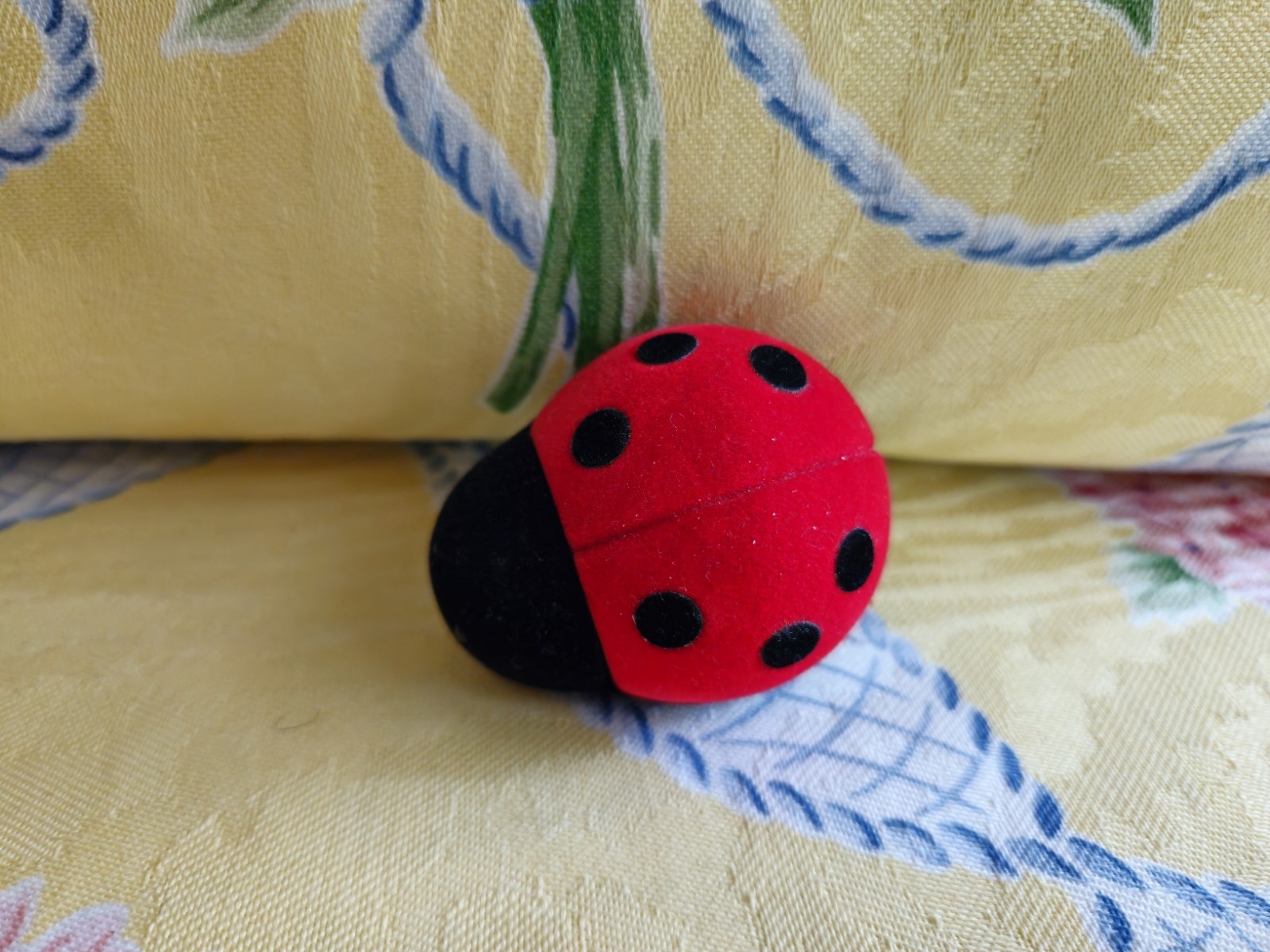 Brighton Charm 🐞 LADYBUG 🐞 Includes LADYBUG Case 🐞 Ex. Condition 🐞