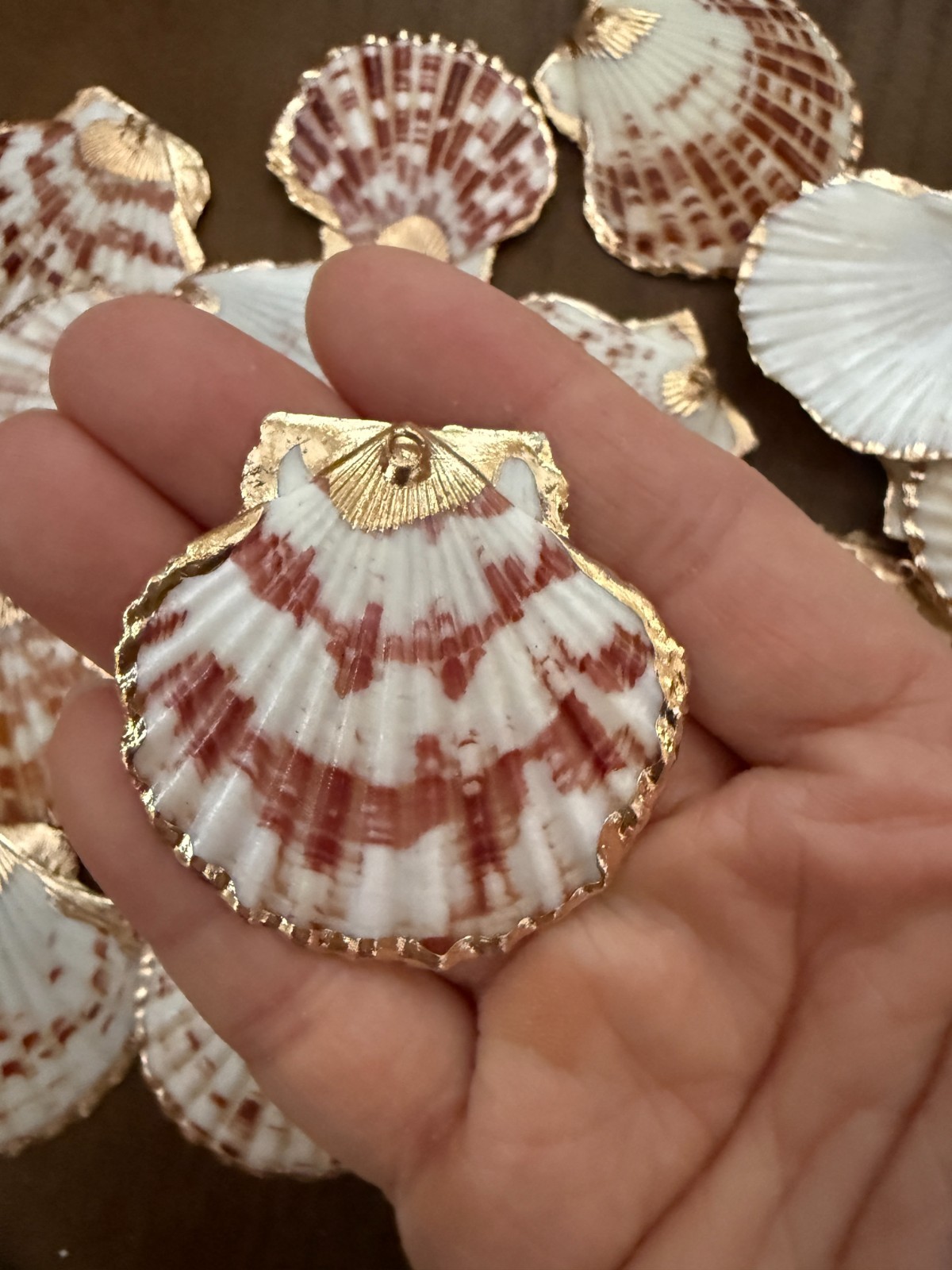 3PC Natural Scallop Shell Pendant, Gold Edge, Deep Sea Shell, Shell Necklace