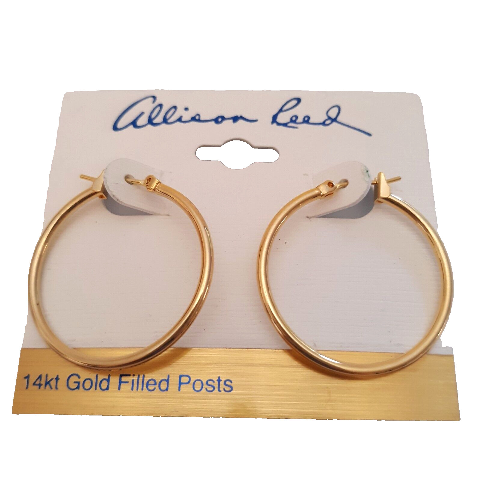 Allison Reed Hoop Earrings 14k Gold Filled Post Lightweight Everyday Classic New