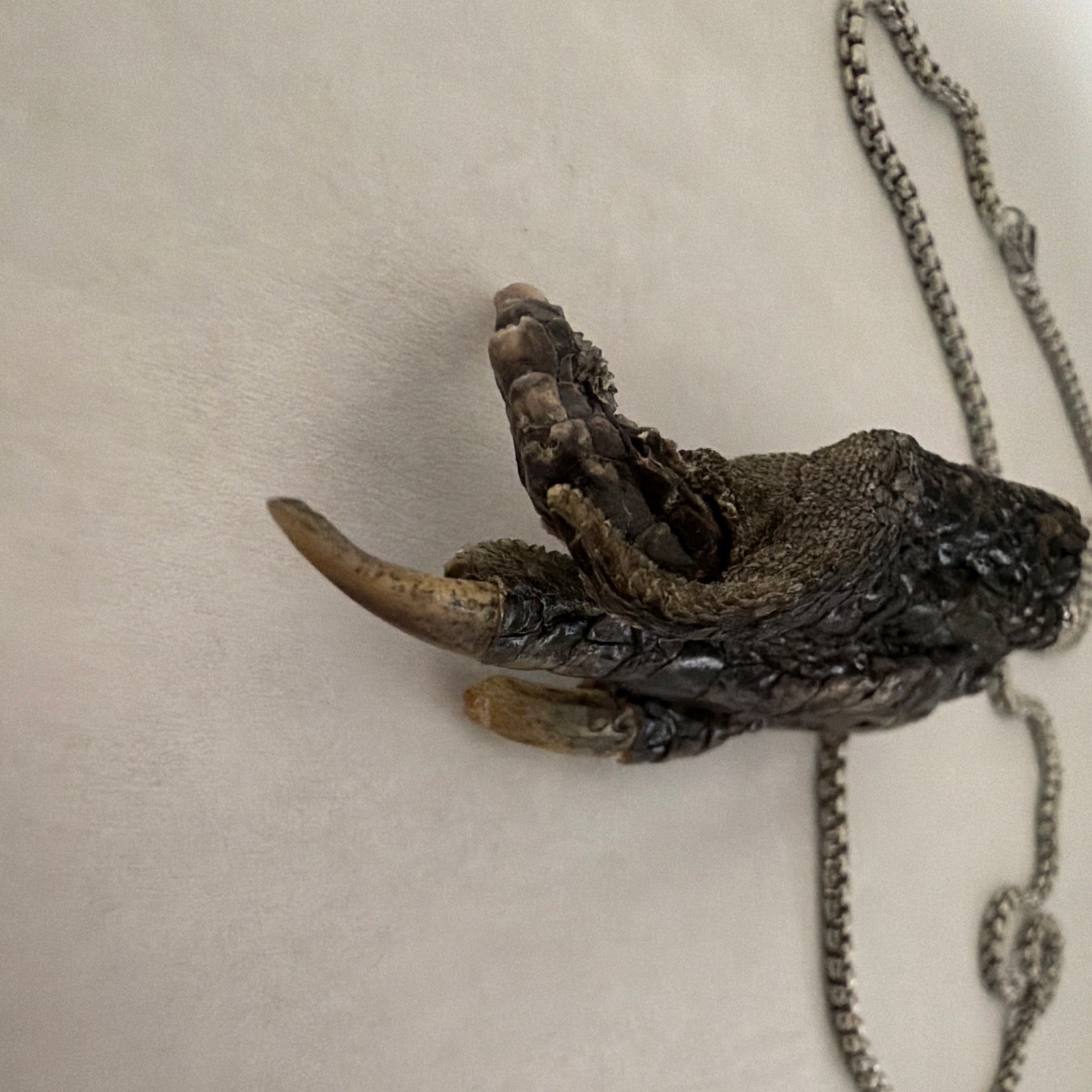 Silver/Black Box Chain Necklace Animal Claw Charm Pendant Lobster Clasp