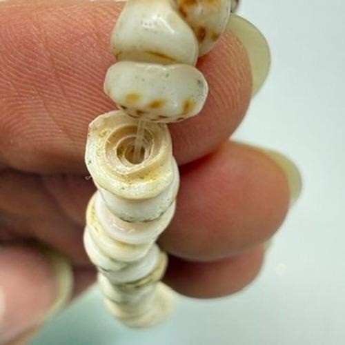 Vintage Tiger Puka Shell Choker Necklace 16″ 1970’s Hawaiian 24g