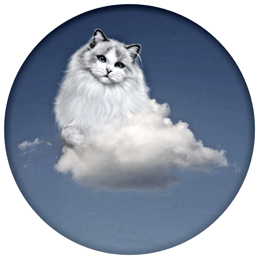cat white cloud heaven Pendant 925 Sterling Silver 20″ Necklace Gold Award Art