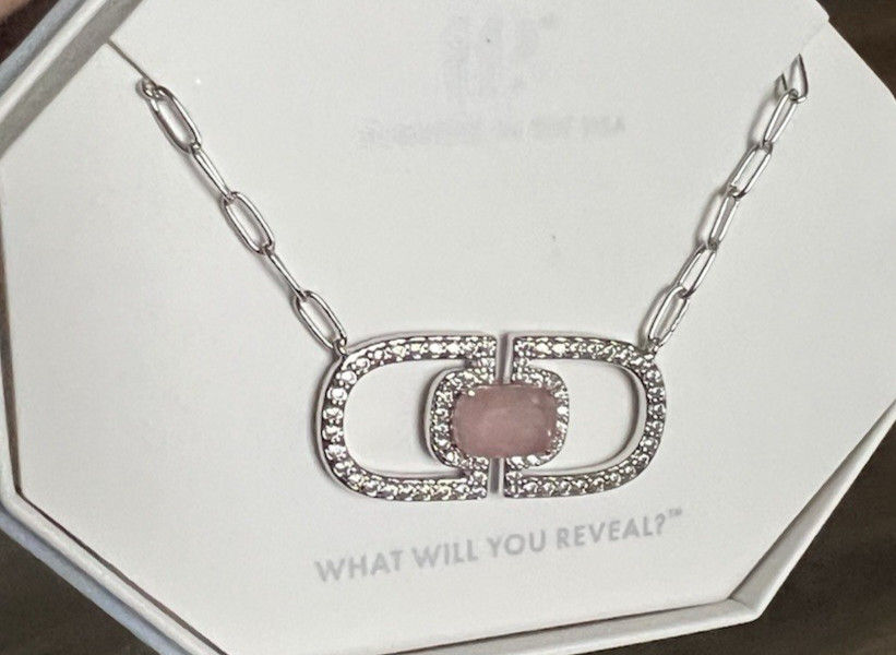 bomb party rhodonite rhodium necklace inner power shines through NK96640
