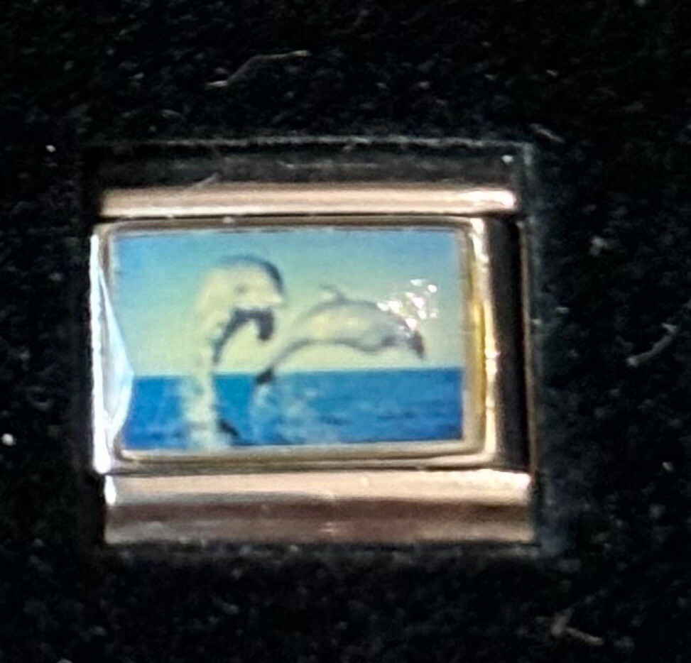 Dolphins Wholesale Italian Charm Photo Enamel Link 9MM K2016 – 2 Style Q
