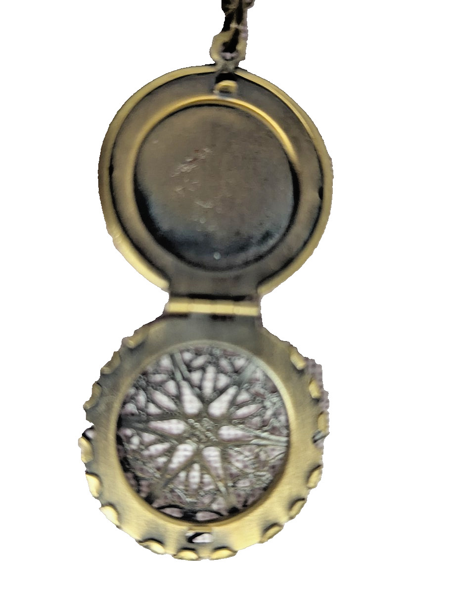 Gold Tone 18-in Necklace Fragrance Diffuser 1-in Pendant Lobster Clasp 50 Refill
