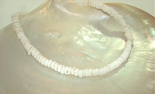3.5mm-4.5mm Natural Baby White Virgin Cone Hawaiian Puka Shell Bracelet 7.75″