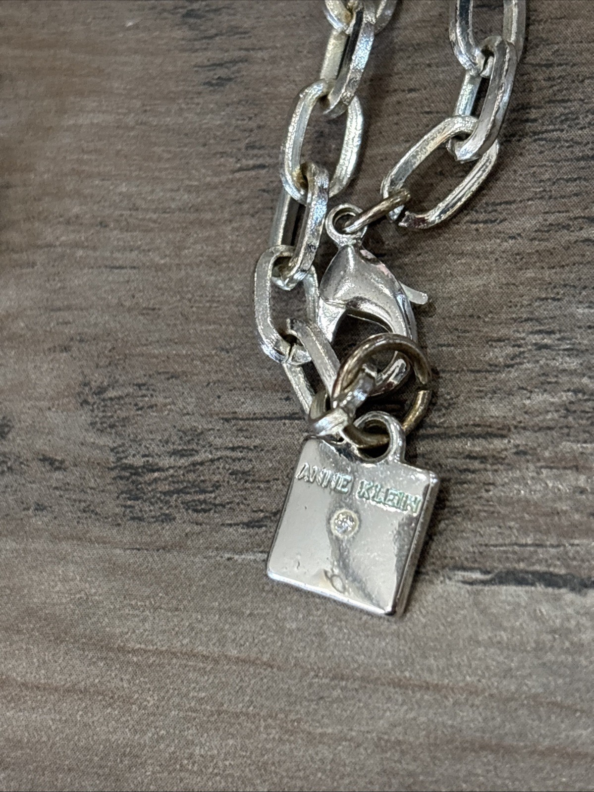 Anne Klein Long Silver Tone Chain #208