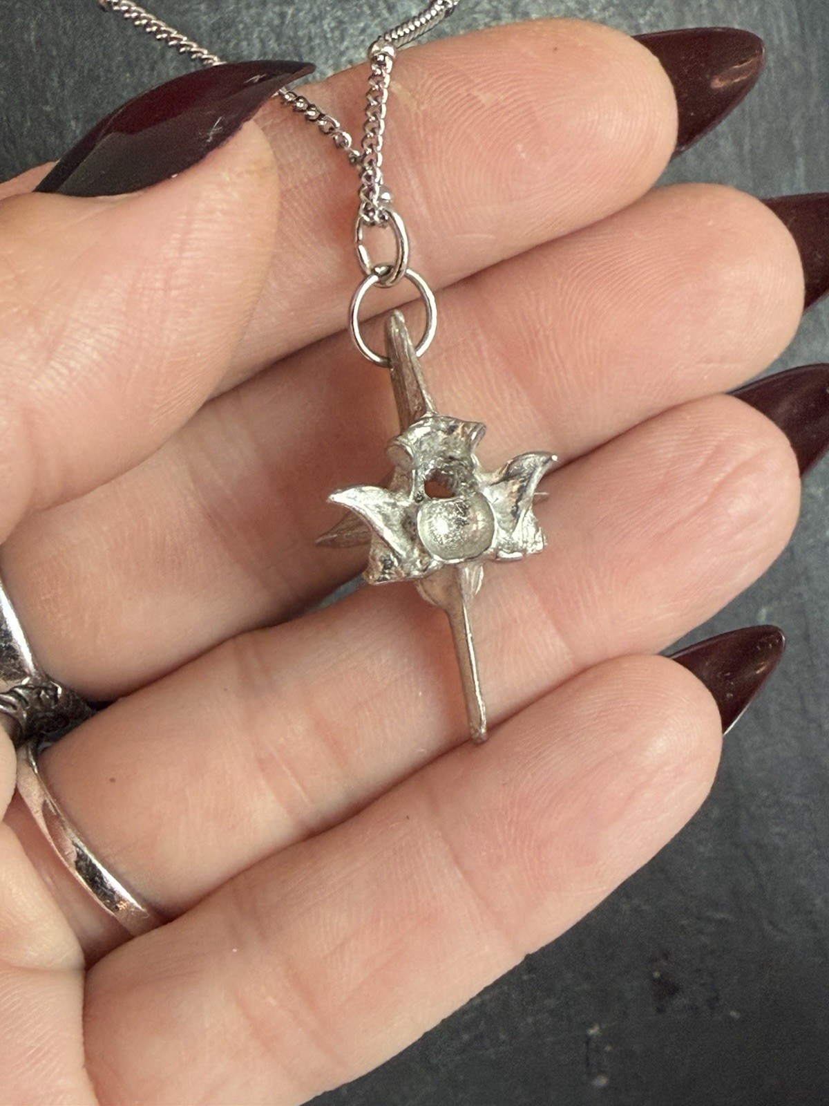 Rattlesnake vertebrae pendant necklace witchy oddities necklace gothic jewelry