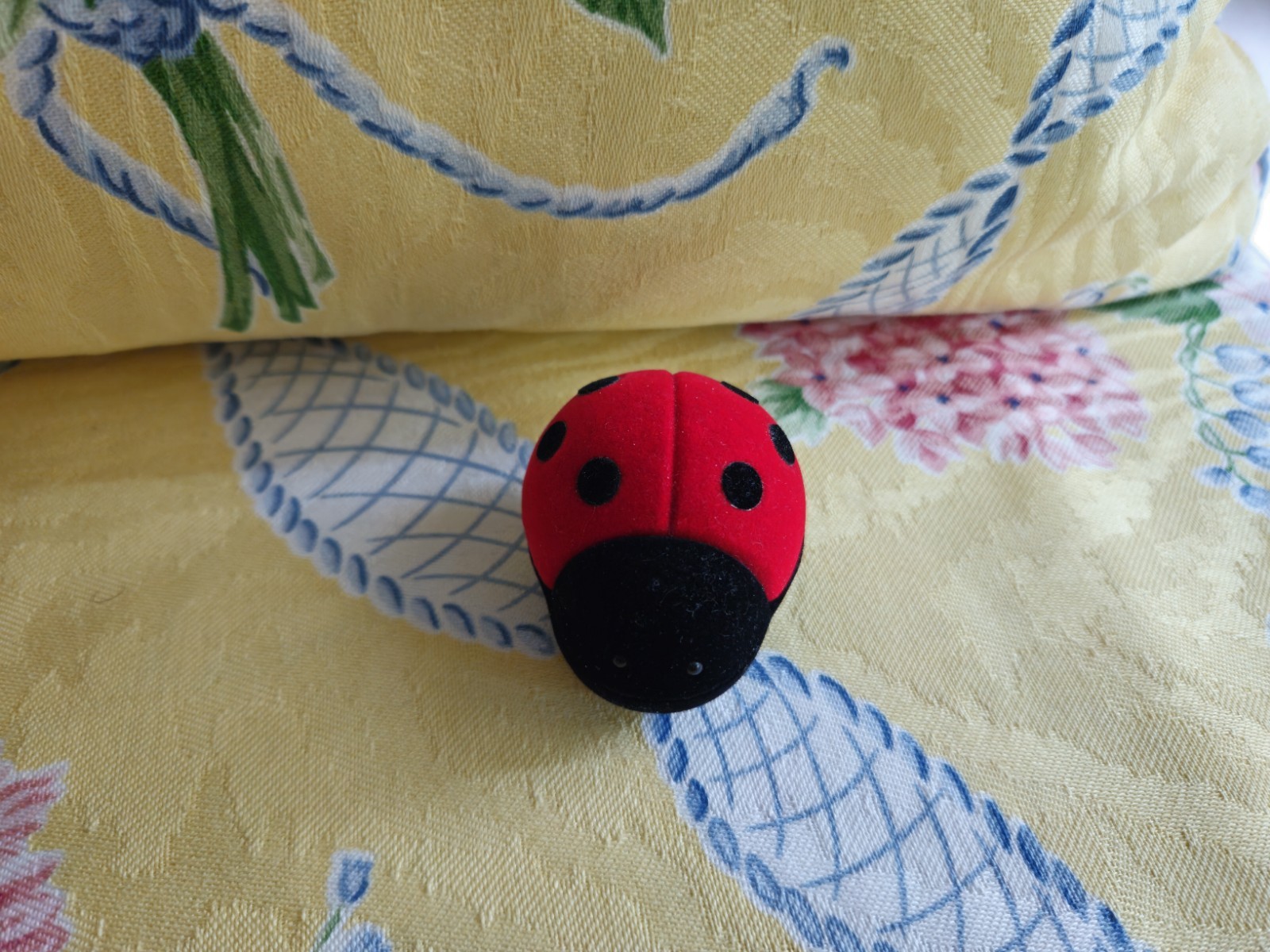 Brighton Charm 🐞 LADYBUG 🐞 Includes LADYBUG Case 🐞 Ex. Condition 🐞