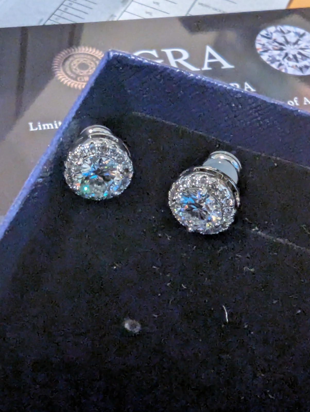 GRA Round Halo Crystal Stud Earrings Silver Tone White/Colorless Butterfly
