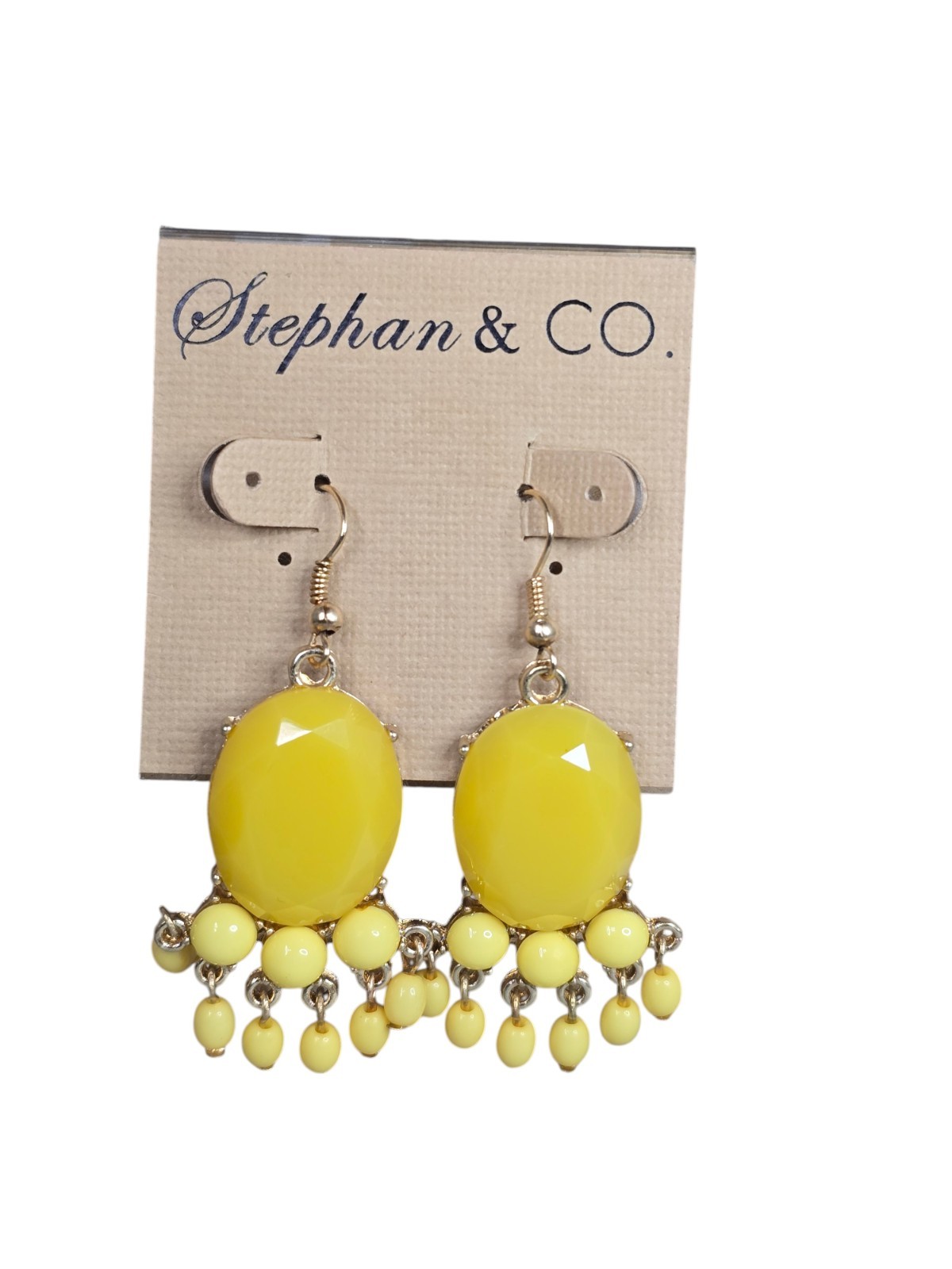 Stephan & Co Women’s Trendy Gold Plated Yellow Hook Resin Earrings