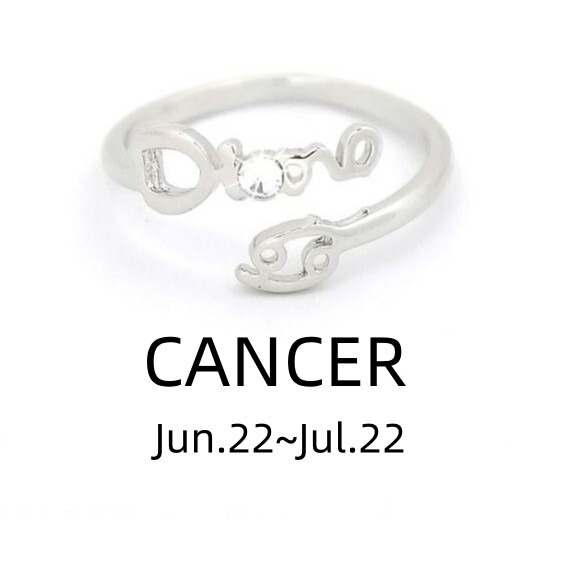 Silver Plated Alloy Leo 12 Constellations Ring Zodiac Adjustable Opening #049