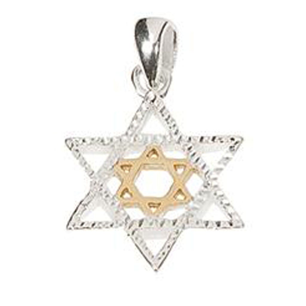 Holy Land Gifts Silver & Gold Star of David Necklace | Necklace – Christian