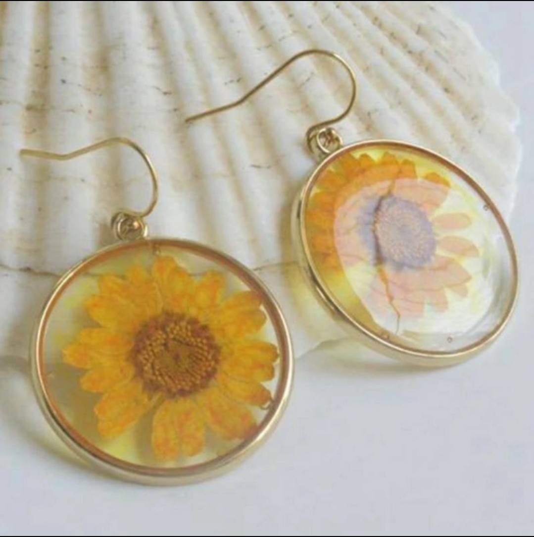 Daisy Earrings white real flowers gold rim clear resin