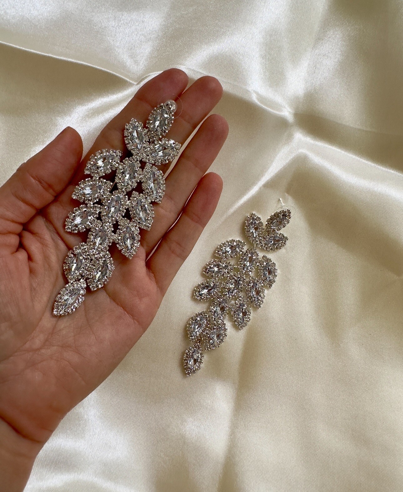 Fancy Long Earrings
