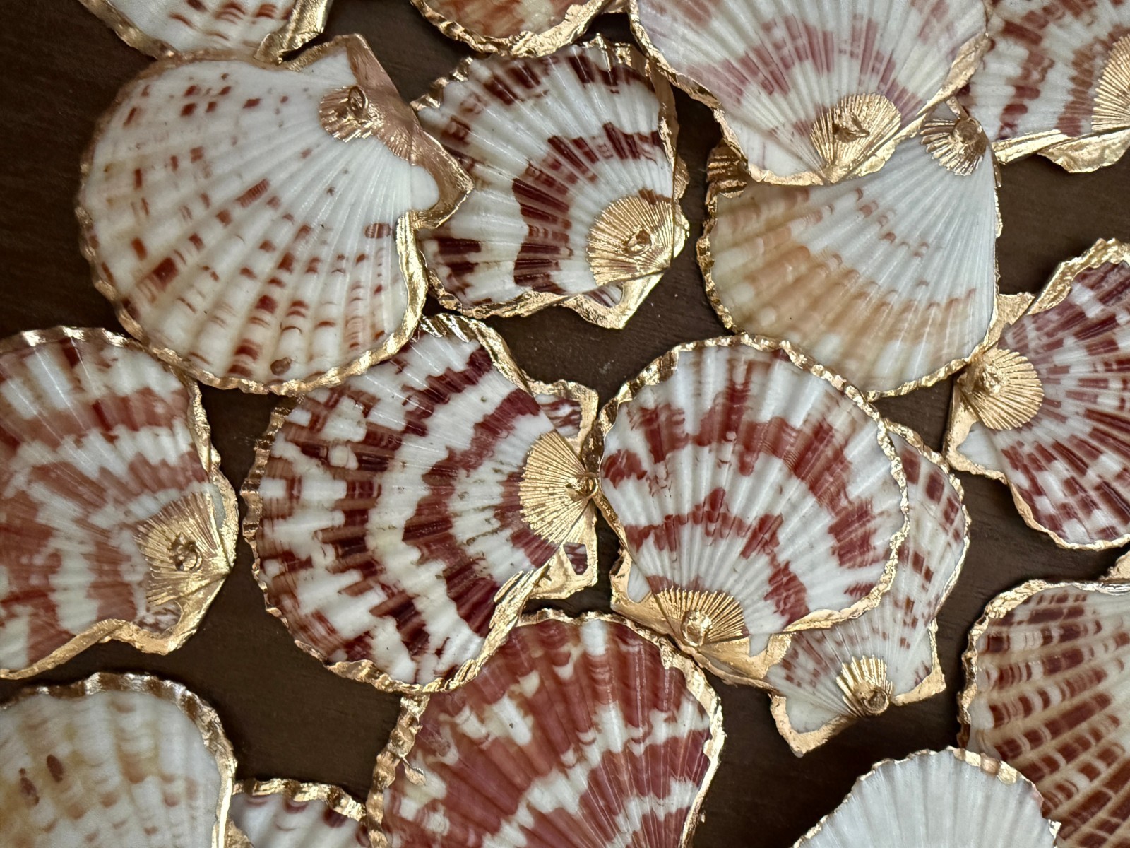 3PC Natural Scallop Shell Pendant, Gold Edge, Deep Sea Shell, Shell Necklace