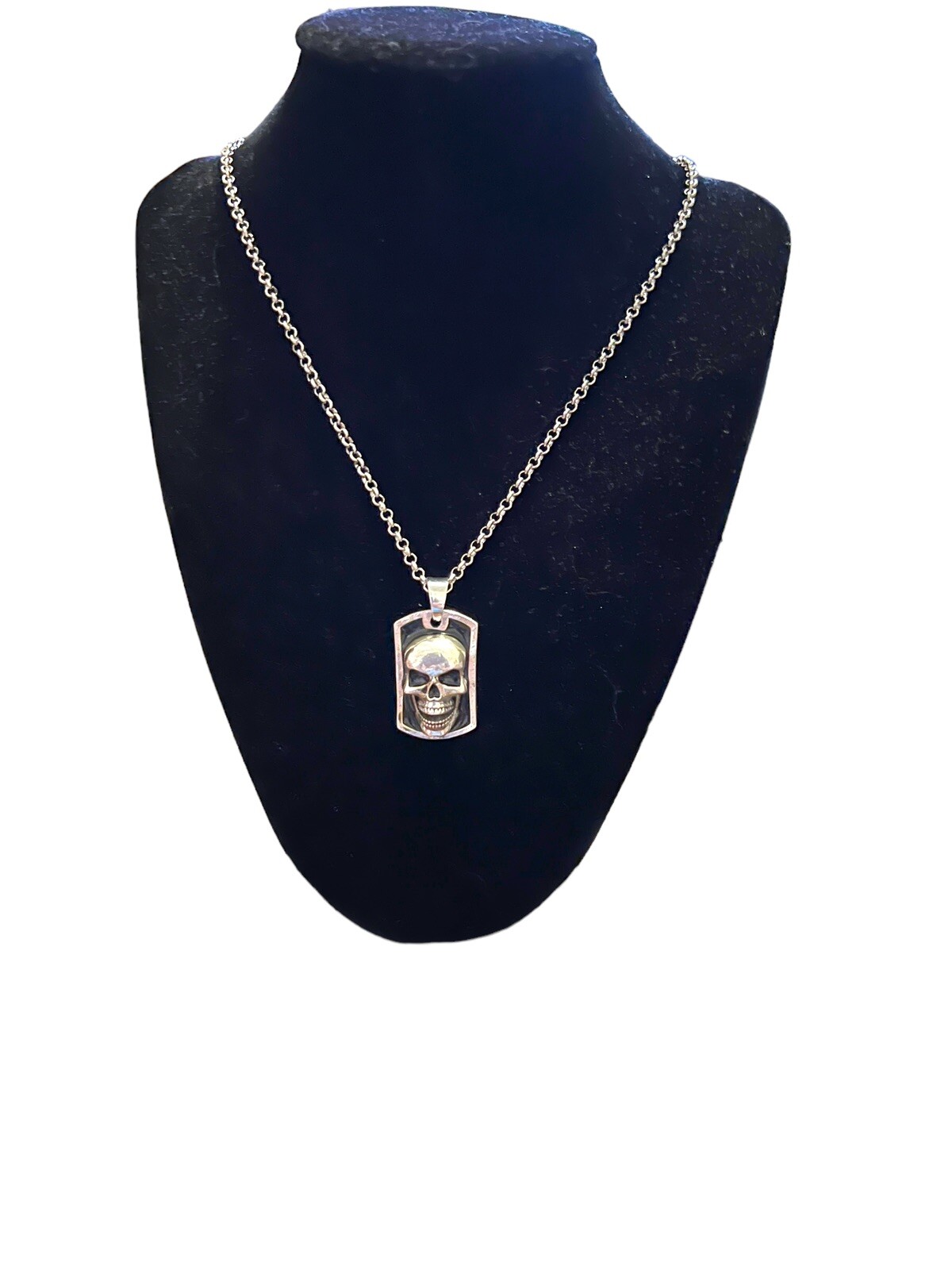3D Skull Dog Tag Shape Pendant ( 1 1/4×3/4 Inches) On 22” Stainless Steel Chain