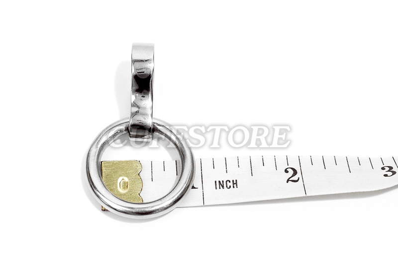 Removable Ring Polished Pendant for 8mm and 6mm Collars, Cuffs & Leg Irons