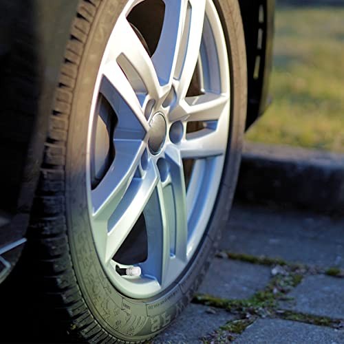 16 PCS Car Tire Valve Stem Caps, Waterproof Airtight Car Wheel Tire Silver