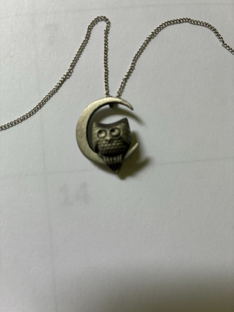 Hallmark Owl on Moon Pendant with 20″ Chain