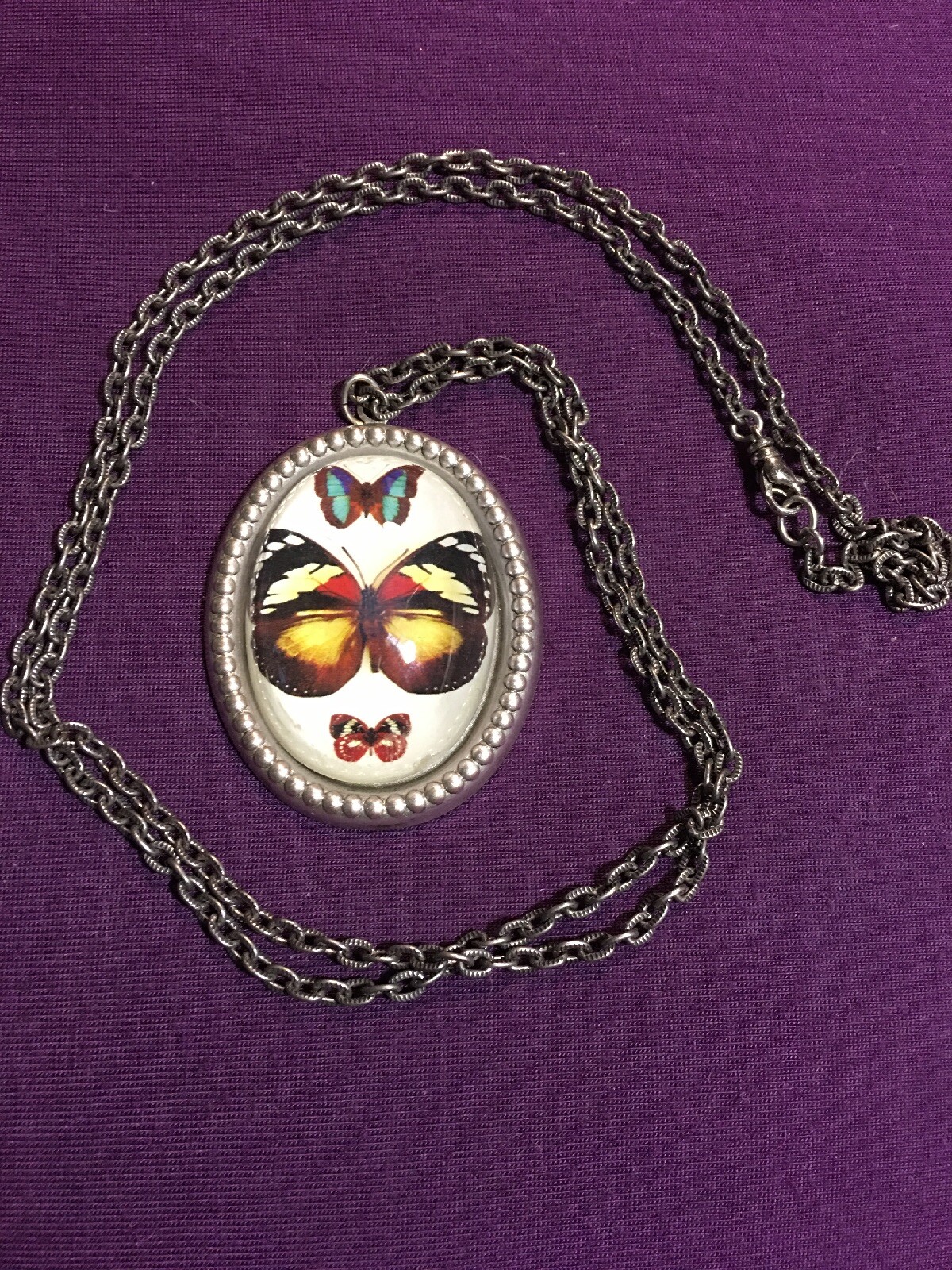 Silver Plated Long Necklace With Butterfly Medalian