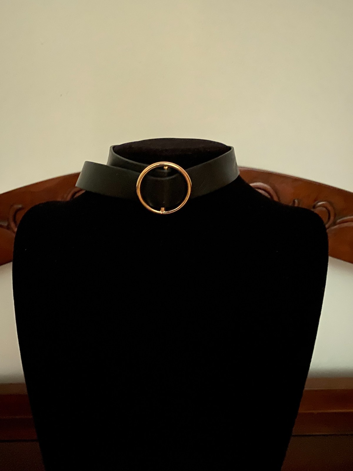 Women’s Leather and Gold Hardware Choker Style Necklace
