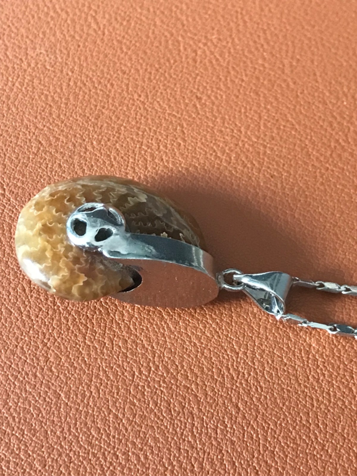 Ammonite Fossil Spiral Pendant WITH Necklace – Polished Prehistoric Shell