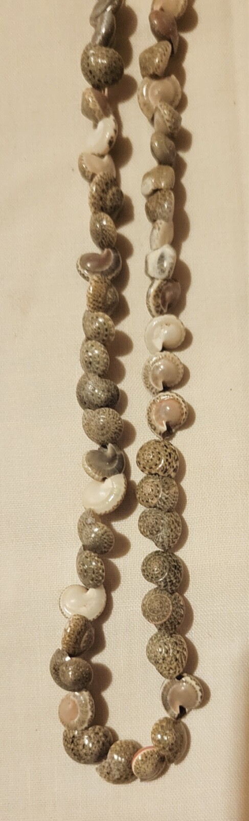 Vintage Tan beige off white snail shell Necklace Beach Summer Surfer 21 ”