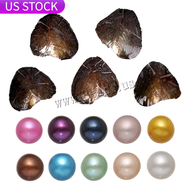 10PCS Natural Pearl Oysters With Real Pearl 7-8mm Freshwater Pearl US Stock NEW