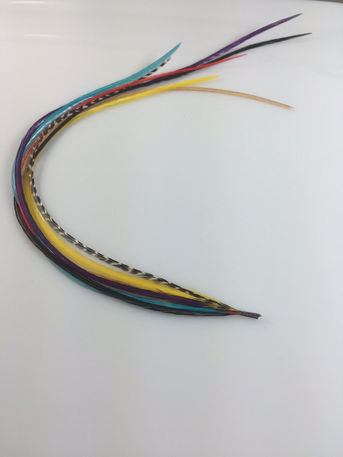 8 Feathers in Total 7-10 in Length Happy Rainbow Mix Feathers Bonded At the Tip
