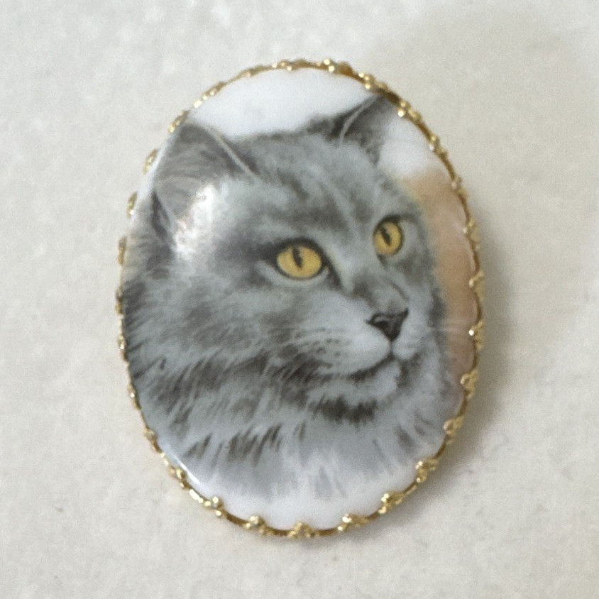 Collection of Brooch Pin, Gold Tone Metal, Multicolor