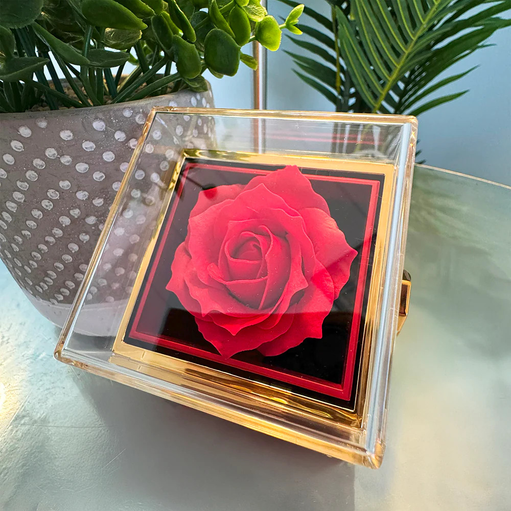 Class of 2026 Graduation Rotating Rose Box and Necklace Gift Set