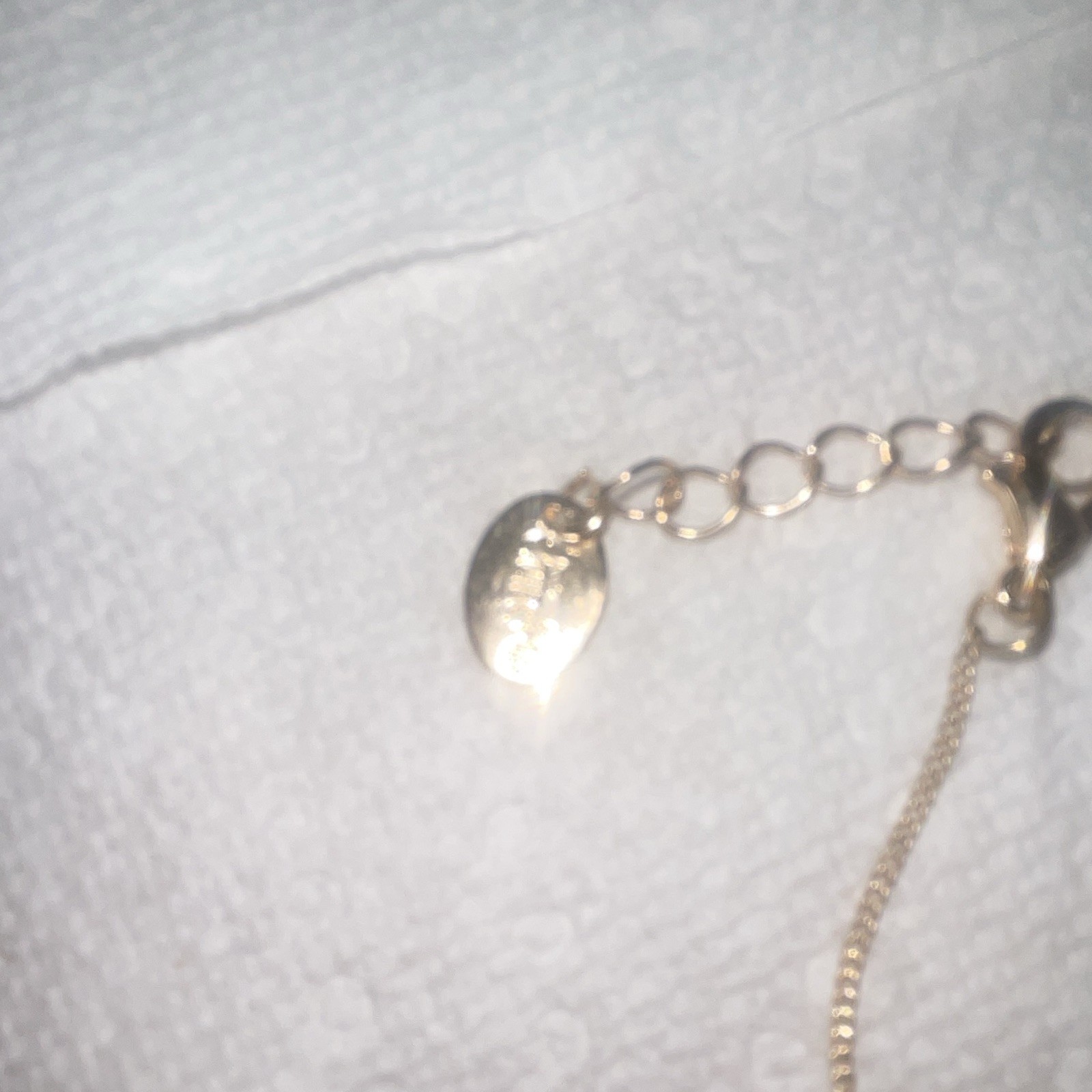 Silver Shell Charm Pendant Necklace Box Chain Lobster Clasp Adjustable Ext