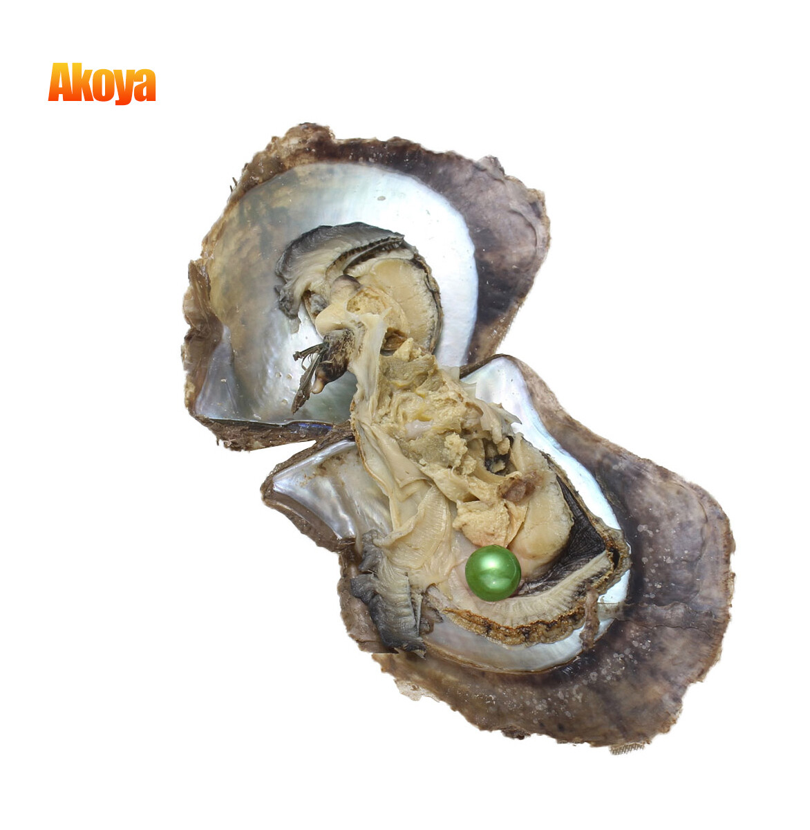 Freshwater/ Akoyas Oyster Natural Pearl Bulk Cultured Round/ Oval 10-50pcs 7-8mm