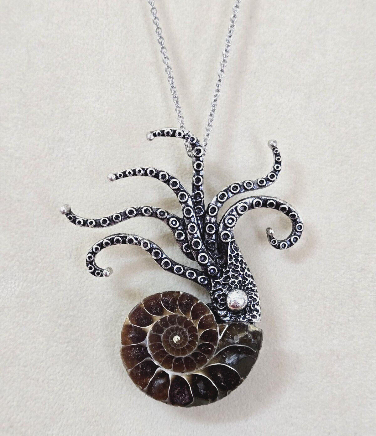 Ammonite Fossil Squid/ Octopus/ Kraken Pendant Brooch 20″ 316L Stainless Chain