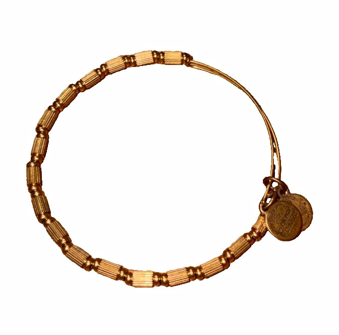 Alex and Ani Bangle Bracelet Dangle Charm Hook Closure Round Metal