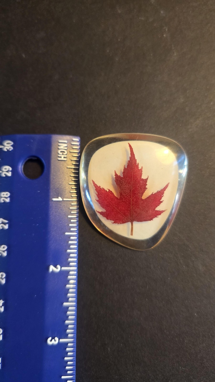 Red Maple Leaf Brooch Pin Clear Resin Handmade Canada Nature Travel Jewelry