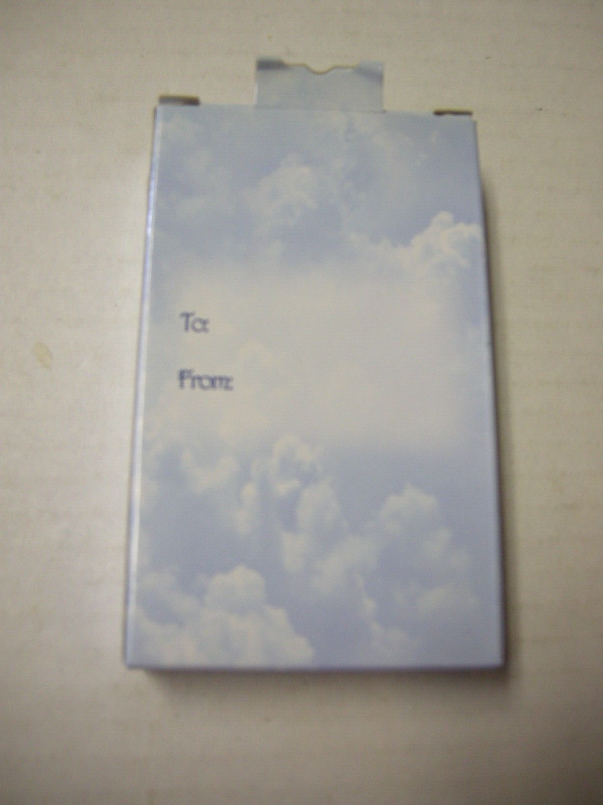 Angel For A Special Volunteer Tac Pin by Wings & Wishes ™, Silver Color, New