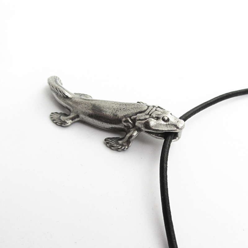 Tiktaalik Necklace – Evolutionary Biology, Fishapod Pendant