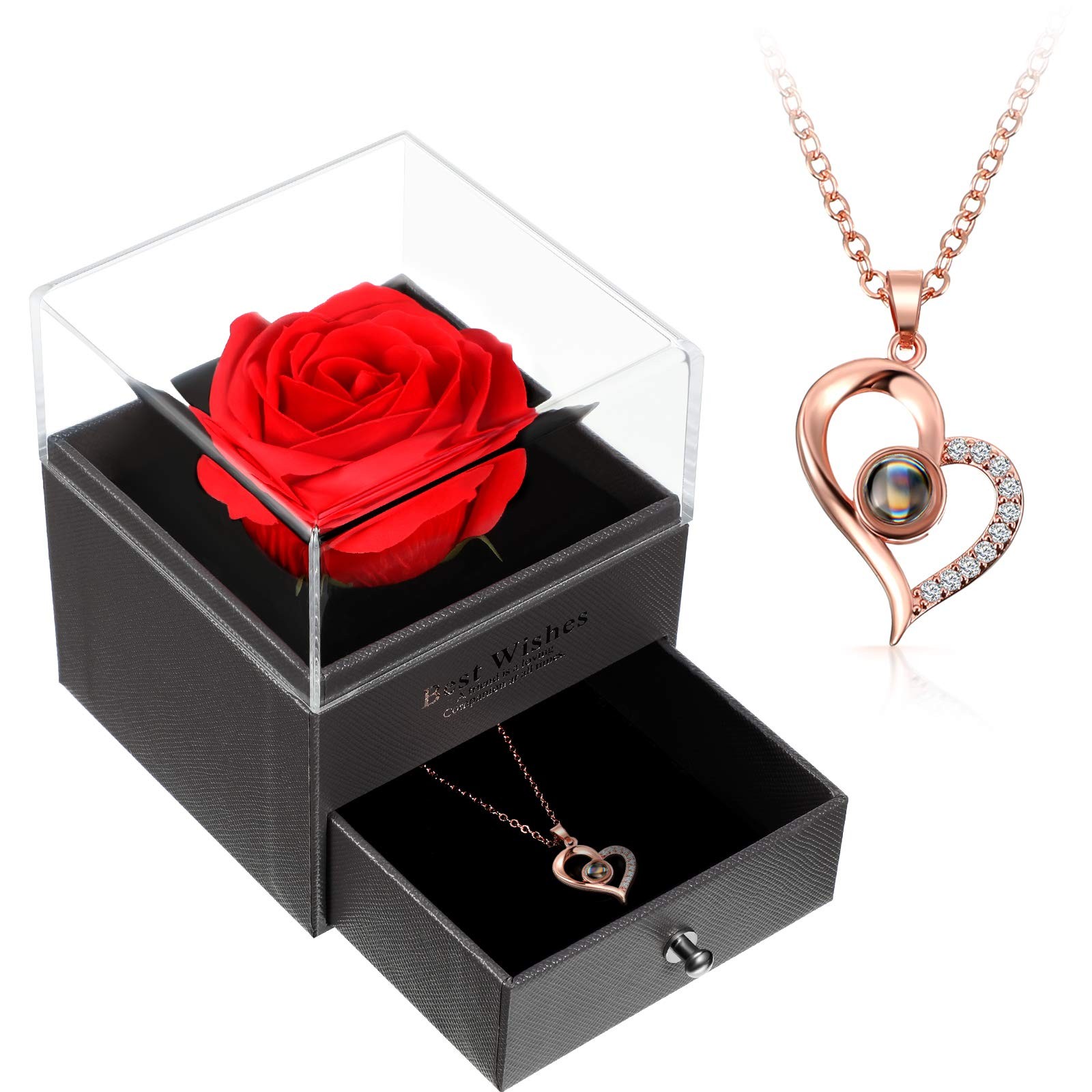 Mother’s Day Necklace Gift for Girlfriend Women I Love You in 100 Languages P…