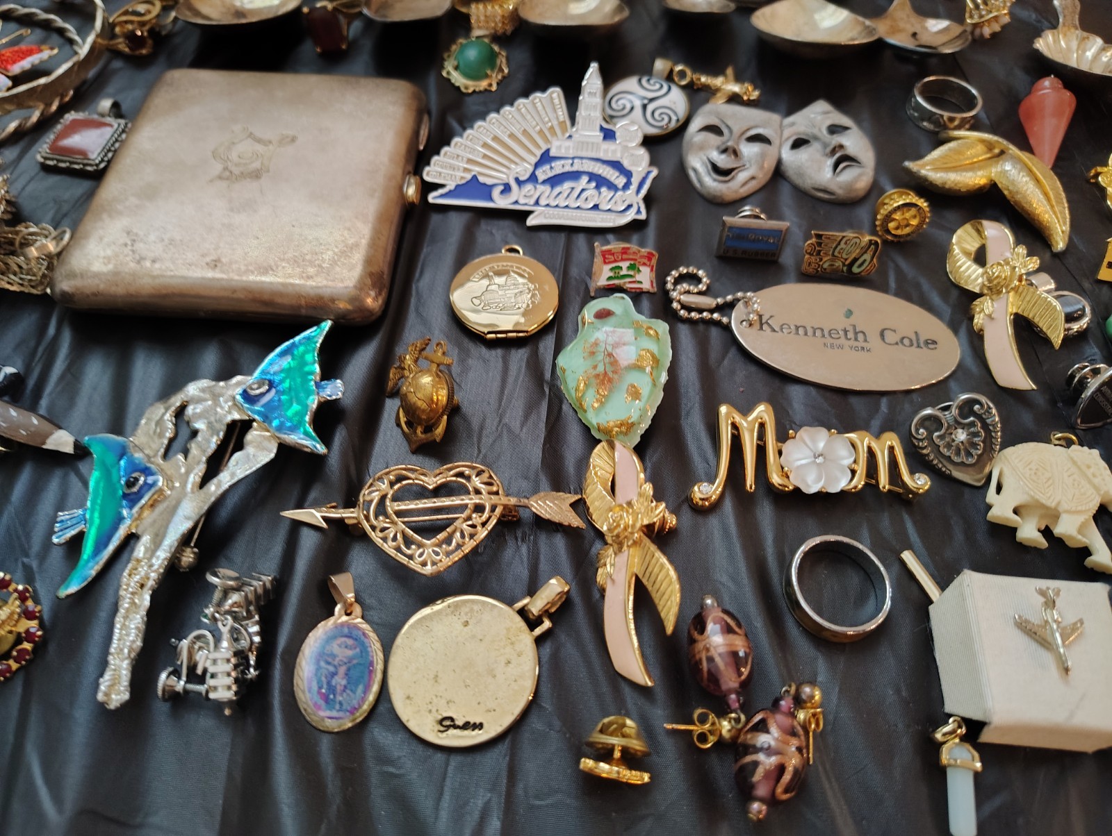 Beautiful Jewelry Lot 100+ Pieces Brooches Rings/Earrings +no gold no silver