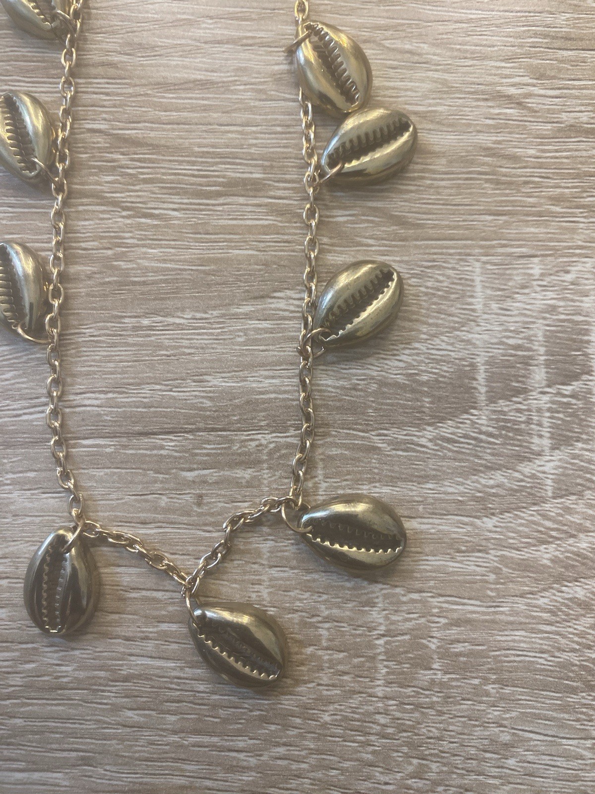 Gold Tone Cowrie Sea Shell Charm Cable Chain Beach Necklace