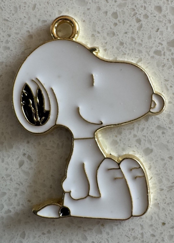 Peanuts Snoopy/woodstock Charm