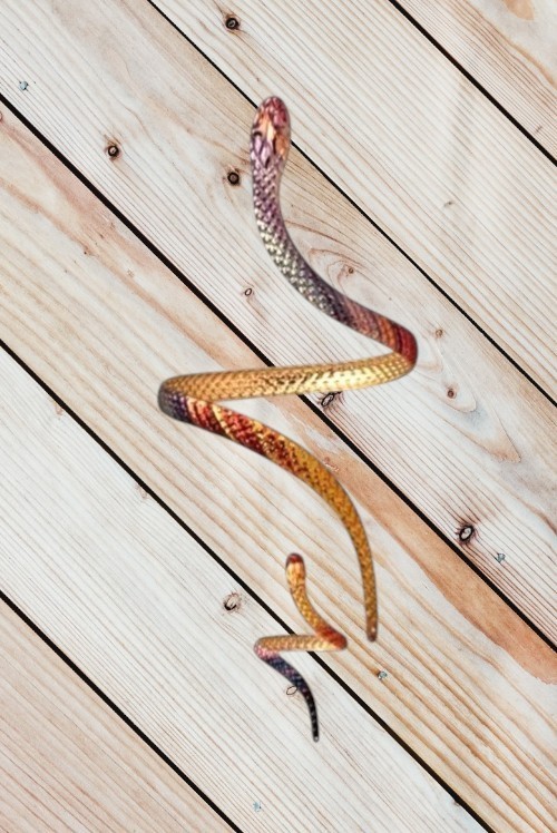 Snake Serpent Jewelry Set Adjustable Bracelet & Ring Next Day Shipping