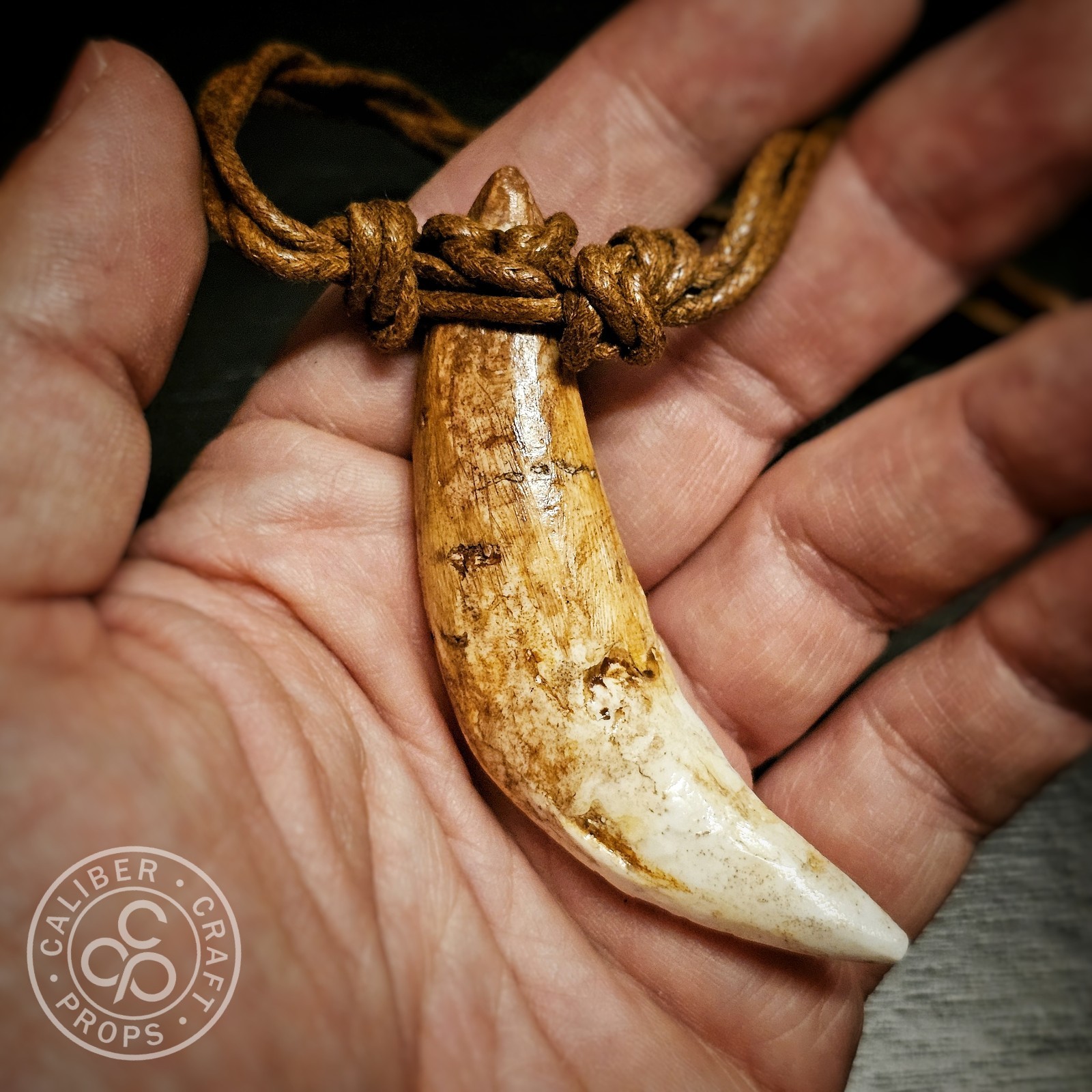 Prehistoric Wolf Fang Necklace Pendant Cast Resin Over 3″ long! Spartan Leonidas