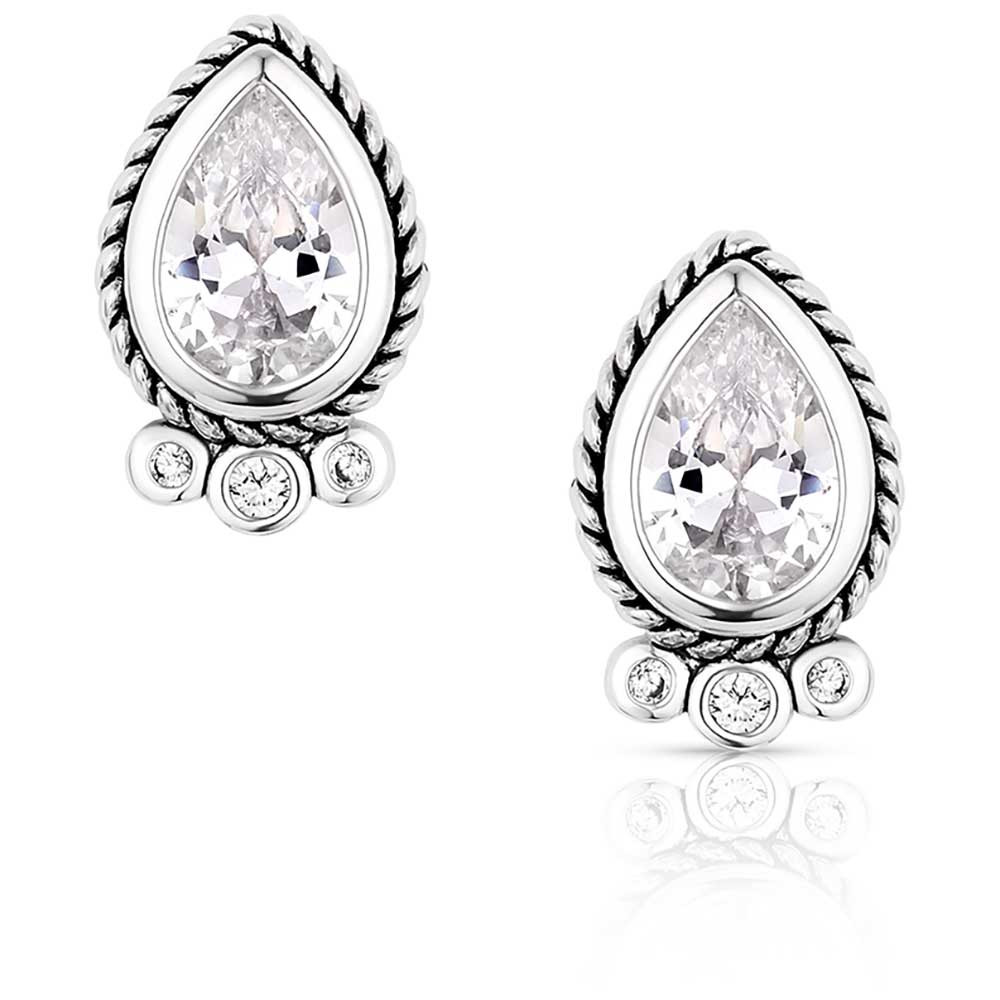 Montana Silversmiths Angel Joy – Accessories Jewelry Earrings – Er6100