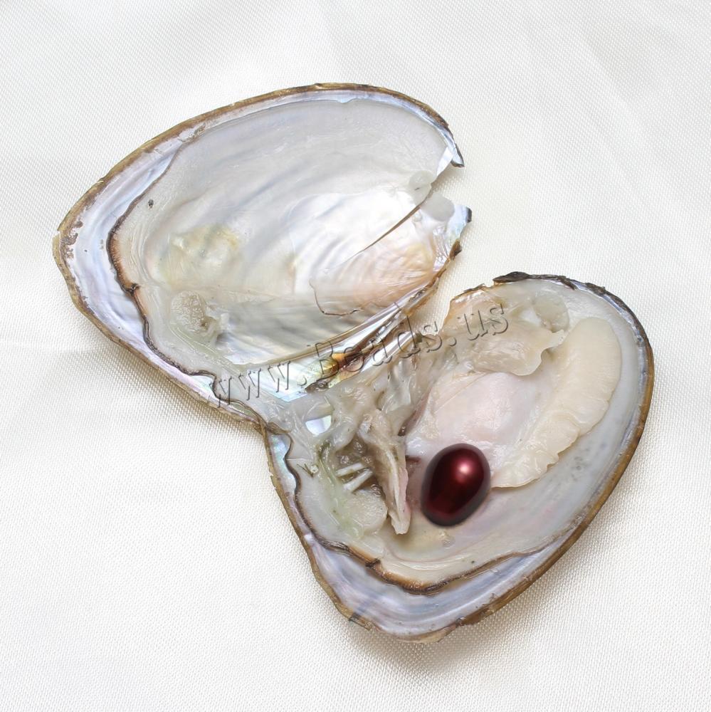 10-50pcs Individually Wrapped Oysters whith Natural Pearl Gift Holiday Birthday