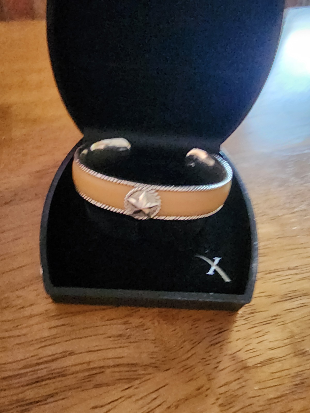 Reflexions by Montana Silversmiths Western Tan/Silver Jewelry Set